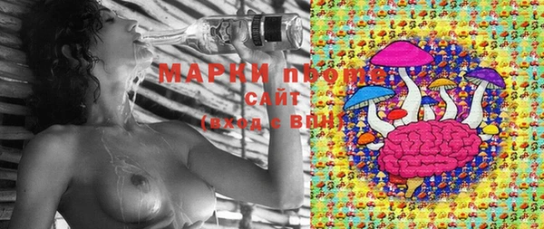 мяу мяу кристалл Переславль-Залесский