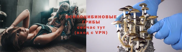 мяу мяу кристалл Переславль-Залесский