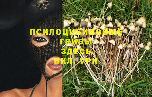 spice Пересвет