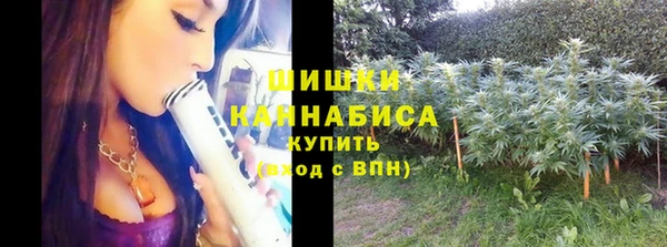не бодяженный Куртамыш