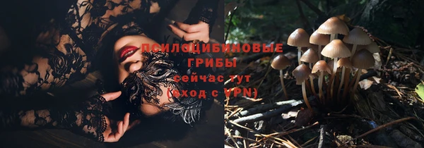 мяу мяу кристалл Переславль-Залесский