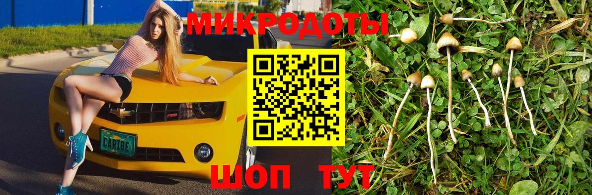 Псилоцибиновые грибы Psilocybe  Вход с VPN  Галлюциногенные грибы MAGIC MUSHROOMS  Ярцево 